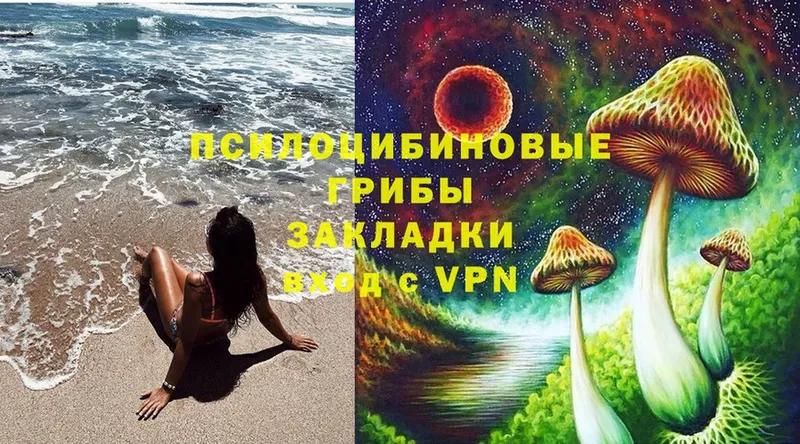 Галлюциногенные грибы Psilocybe  MEGA как зайти  Ува 